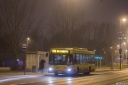 A503_Rosola.jpg
