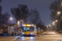 A591_Makowska.jpg