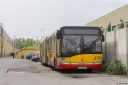 A702_Ursus.jpg