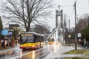 A719_Laski3Maja.jpg