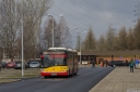 A723_CmPolnocnyBrPld.jpg