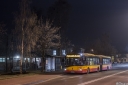 A728_BorzecinDuzyWarszawska.jpg