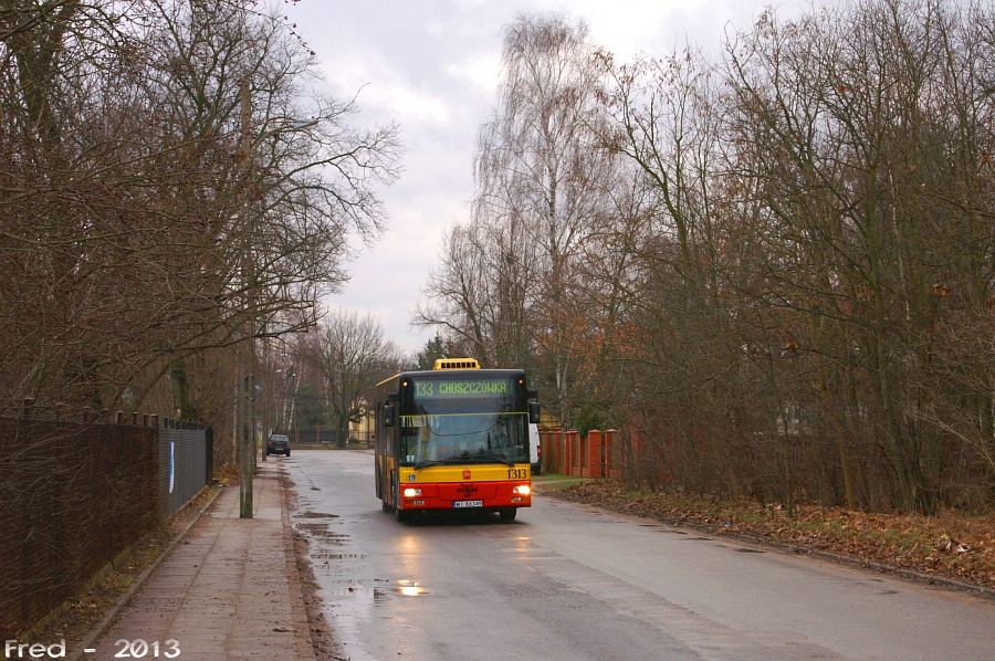 1313
JuĹź coraz mniej osioĹkĂłw ma mozaikowe wyswietlacze.
Słowa kluczowe: NM223