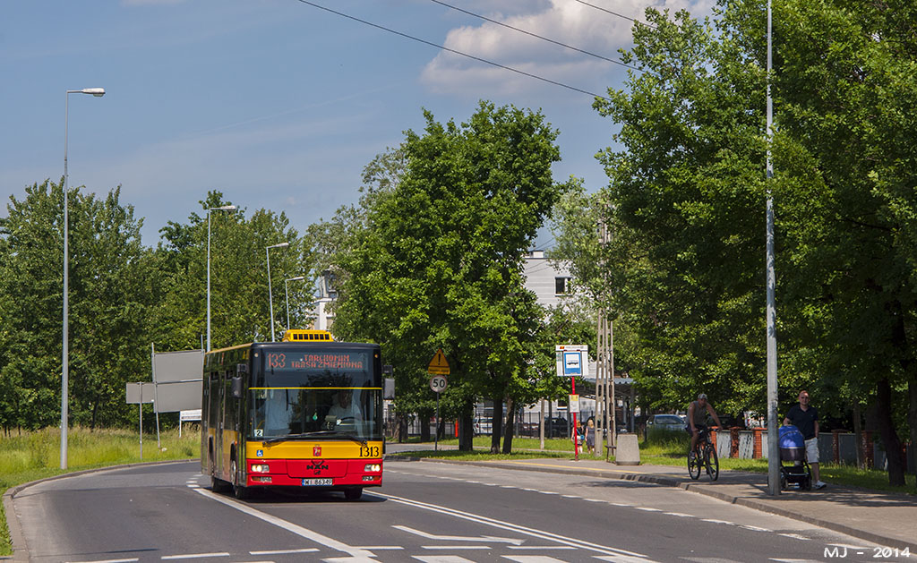 1313
Słowa kluczowe: NM223