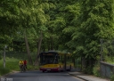 8132.jpg