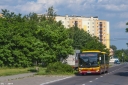 A218.jpg