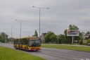 A226.jpg