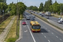 A595.jpg