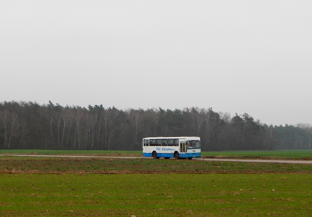 70798 
ELka w polu.
Słowa kluczowe: JL11PP