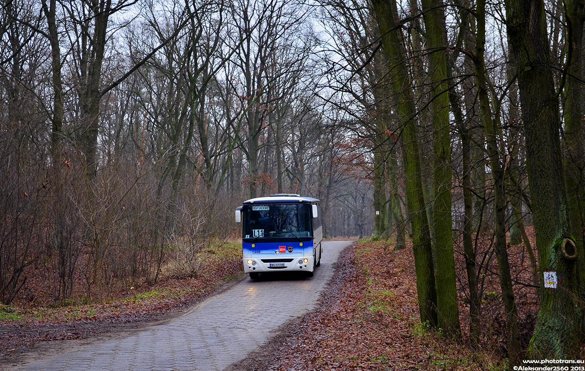 Y006
Słowa kluczowe: Trylinka