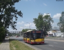 DSCF695428129.jpg
