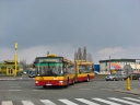 IMG_0384.jpg