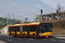 IMG_6632.jpg