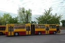 5690.jpg