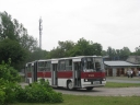 IMG_5615.JPG