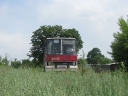 IMG_5739.JPG