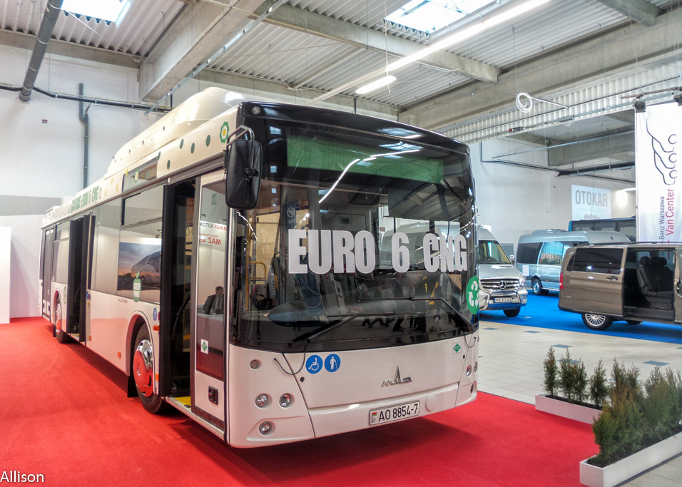 AO 8854-7
MA3 203 zasilany gazem CNG speĹniajÄcy normy spalania Euro 6.
Słowa kluczowe: WarsawBusExpo