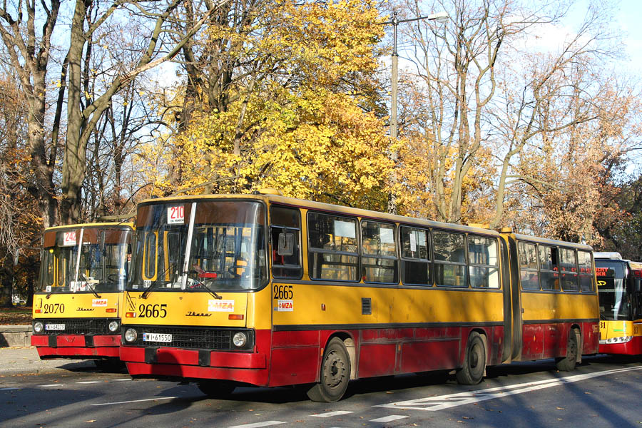 2665
PÄtla KrĂłlewska
Słowa kluczowe: WĹ2007 IK280