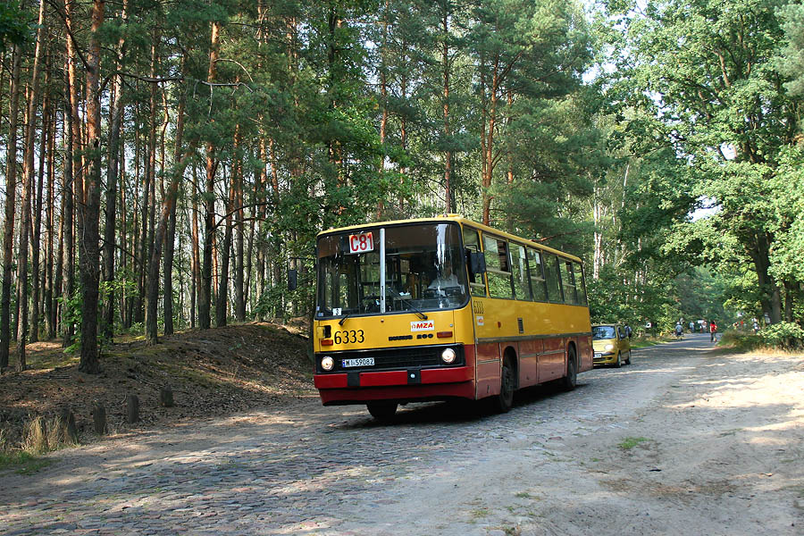 6333
Droga do Palmir 
Słowa kluczowe: IK260