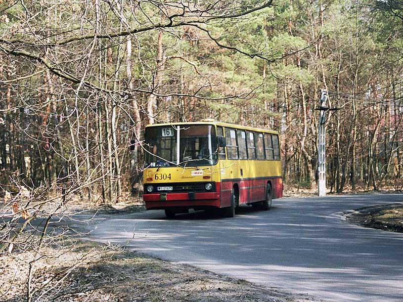 6304
Słowa kluczowe: IK260