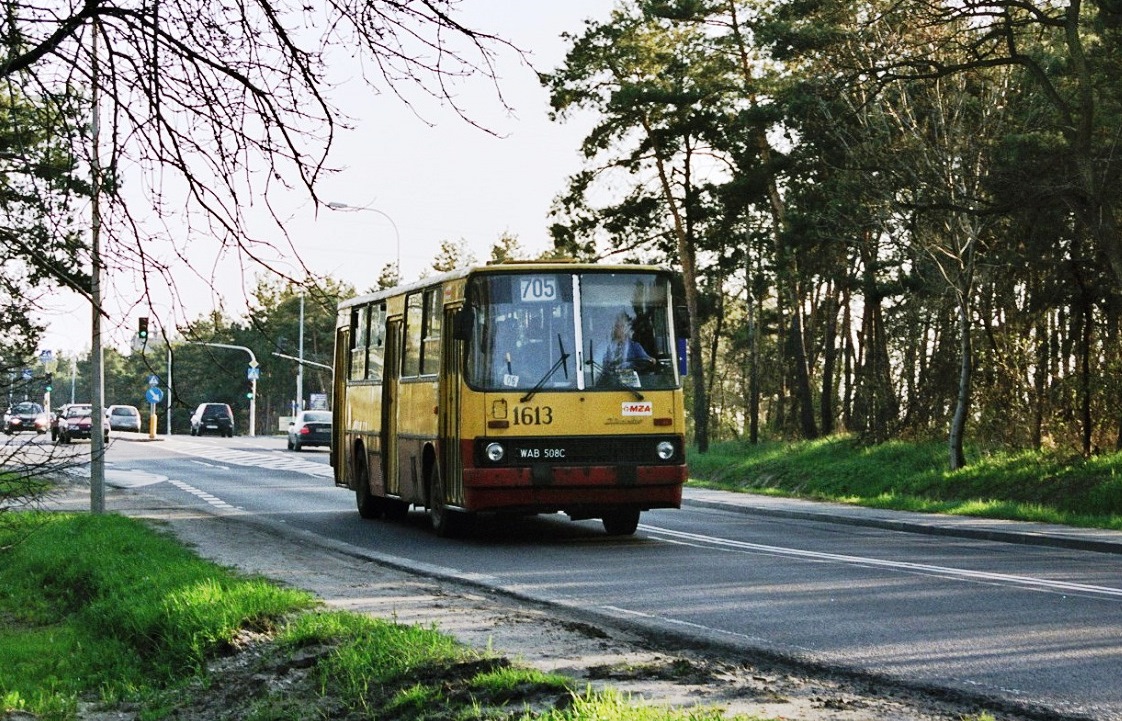 1613
Słowa kluczowe: IK260