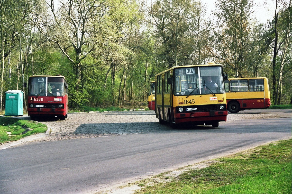 1645
Słowa kluczowe: IK260