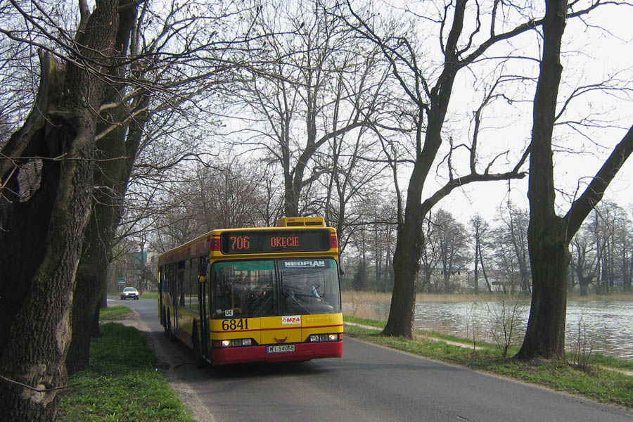 6841
Słowa kluczowe: N4020