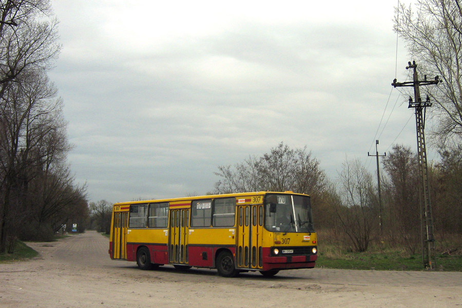 307
Słowa kluczowe: IK260
