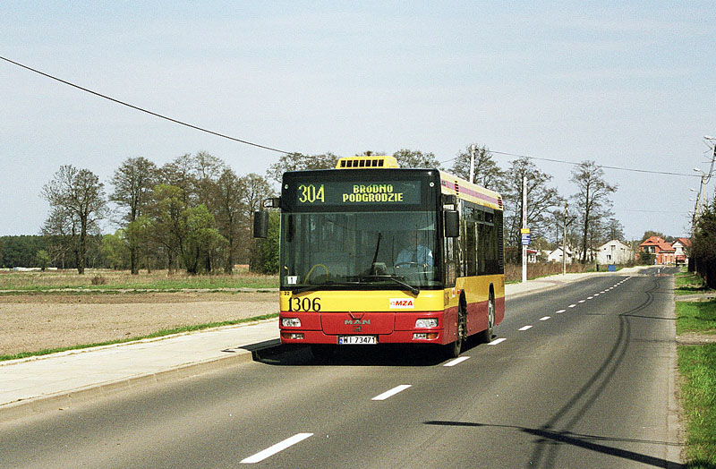 1306
Słowa kluczowe: NM223