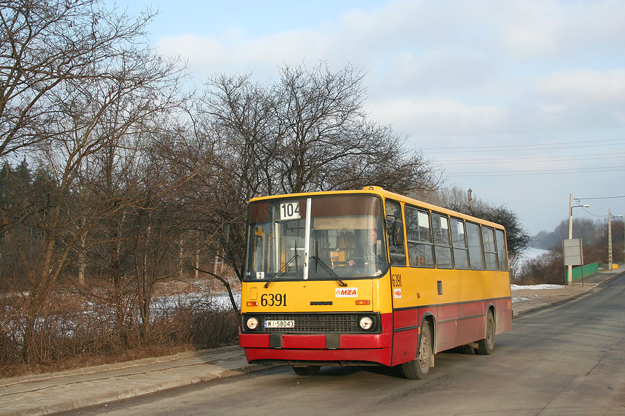 6391
Słowa kluczowe: IK260