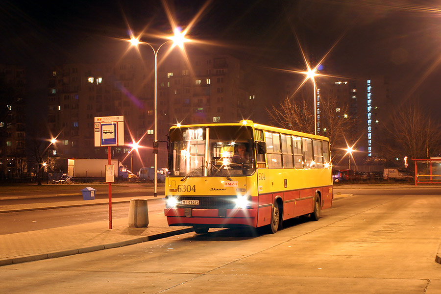 6304
Słowa kluczowe: IK260