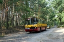 266525.jpg