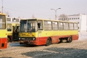 2810329.JPG