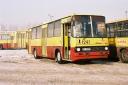 2810629.JPG