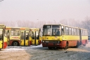 2812129~0.JPG