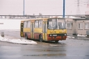 2813029.JPG