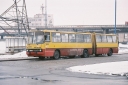 2813129.JPG