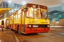 2814229.JPG