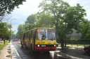 2818229.JPG