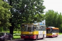 2825829.JPG