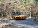 2830329.jpg