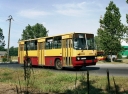2862929.jpg