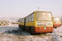 287429.JPG