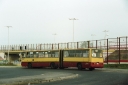 2875829.jpg