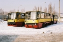 287729~0.JPG