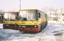 289829~0.JPG