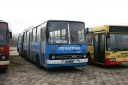 297519.jpg