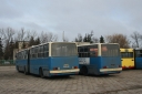 297536.jpg
