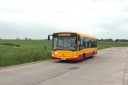 414229.jpg