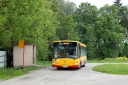 414233.jpg